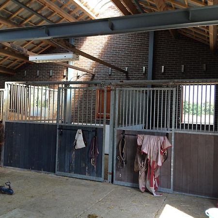 Welkom Op De Mildert Nederweert エクステリア 写真